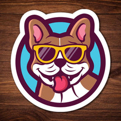 Dog with Glares