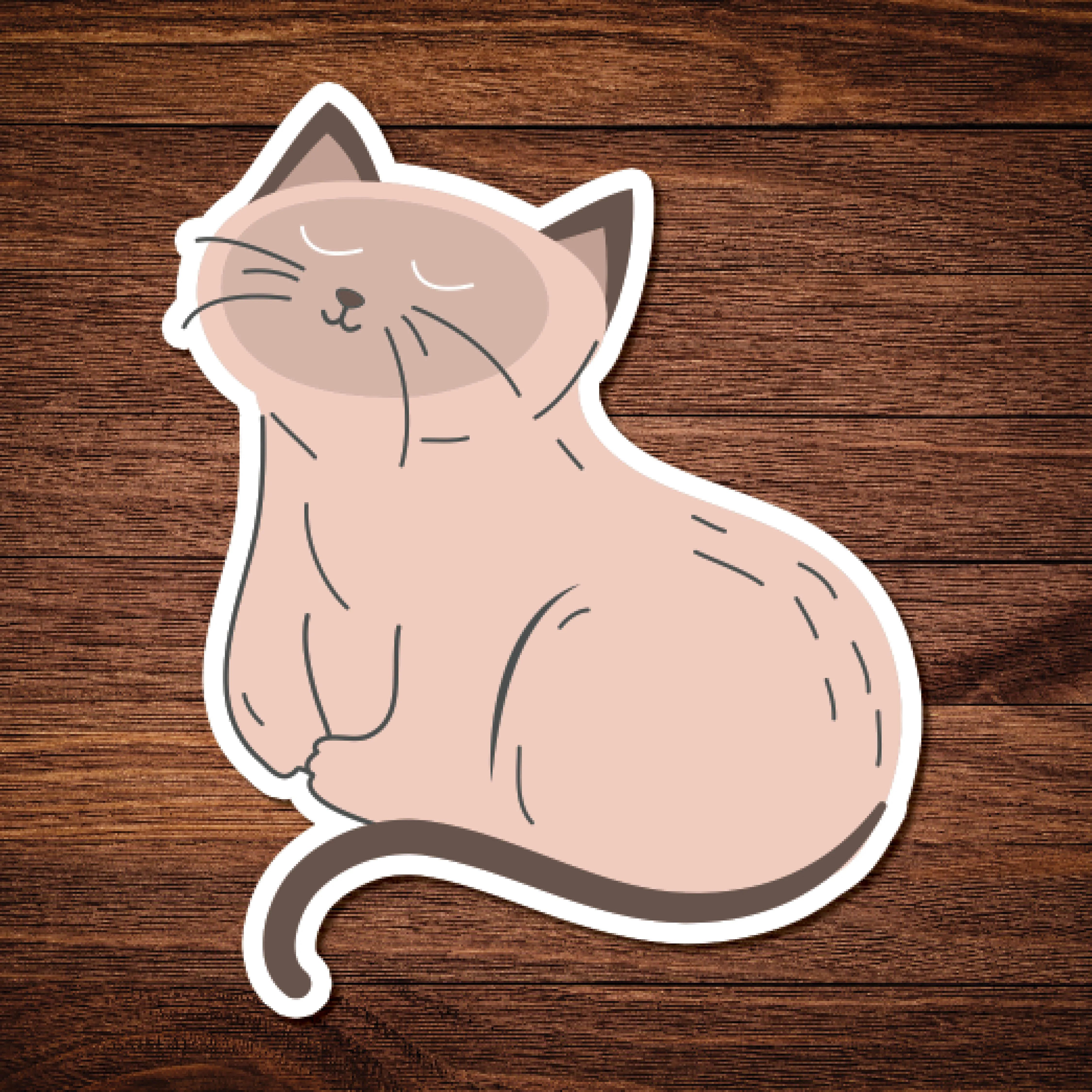 Brown Cat