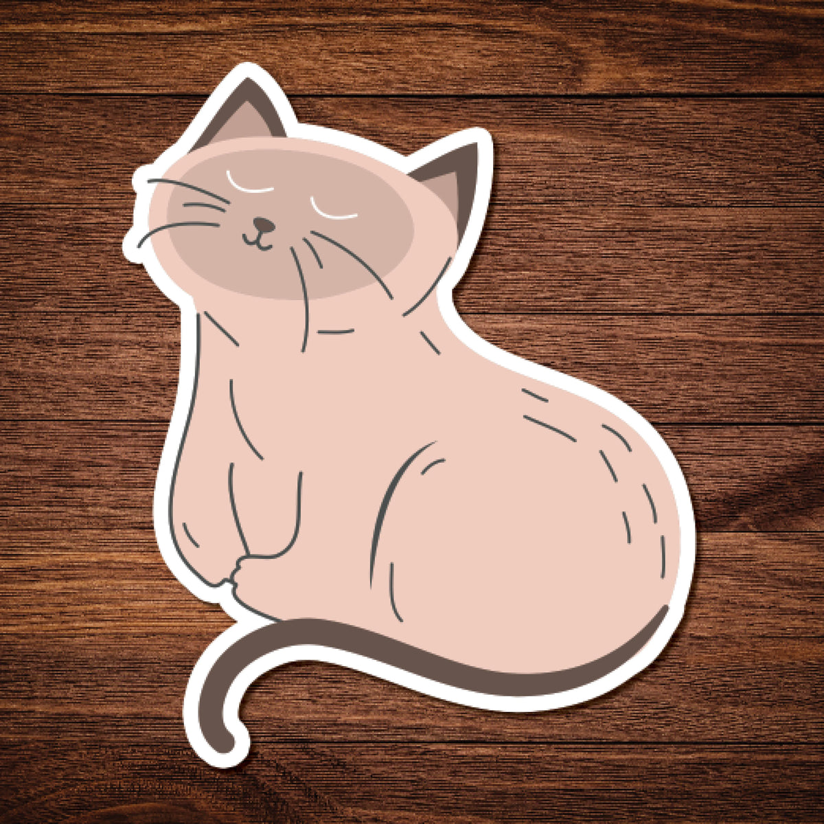 Brown Cat