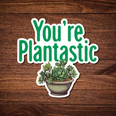 You're Plantastic